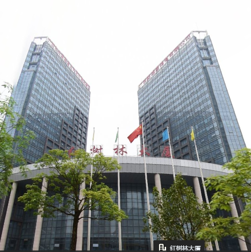 防城港市宏树林大厦.png